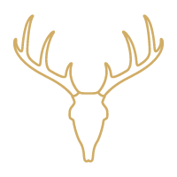 antlers