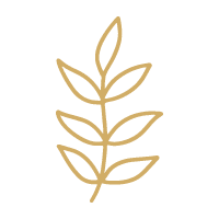 plant-leaf